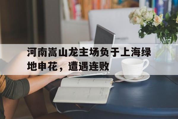 河南嵩山龙主场负于上海绿地申花，遭遇连败